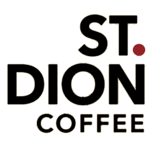 st dion logo black