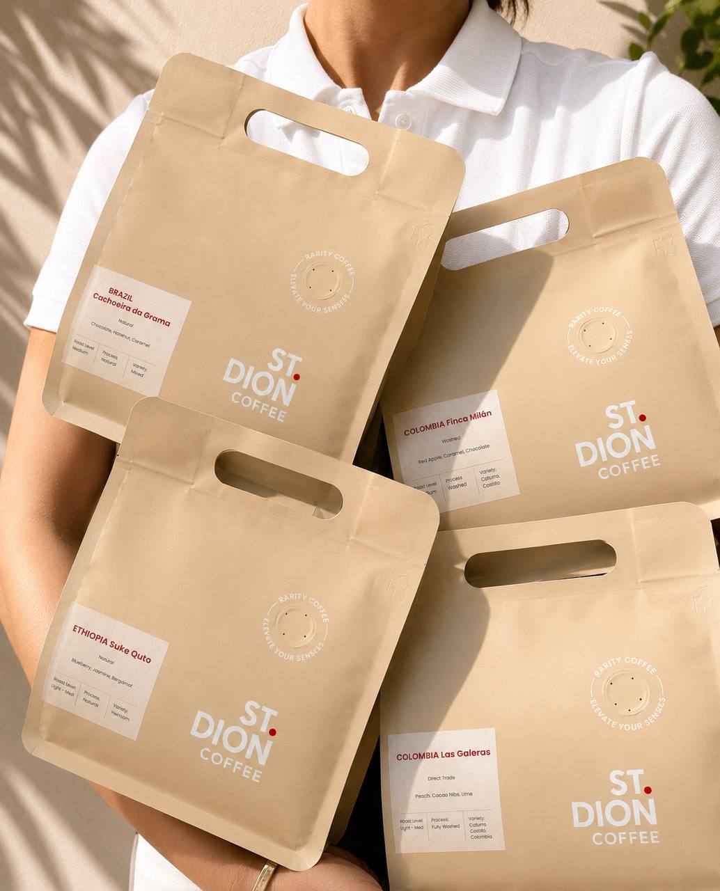 wholesale st dion coffee