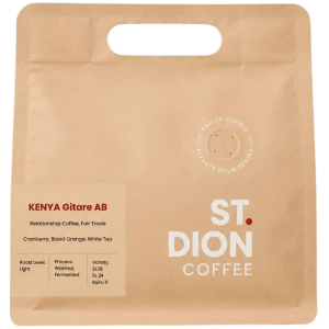 Kenya Gitare AB-2