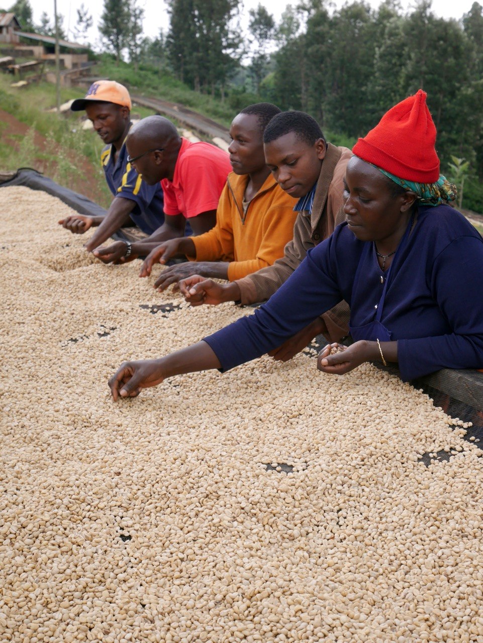 kenya gitare